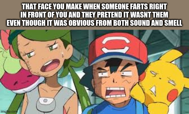 accurate enough | THAT FACE YOU MAKE WHEN SOMEONE FARTS RIGHT IN FRONT OF YOU AND THEY PRETEND IT WASNT THEM EVEN THOUGH IT WAS OBVIOUS FROM BOTH SOUND AND SMELL | image tagged in farts,meme,that face you make when | made w/ Imgflip meme maker