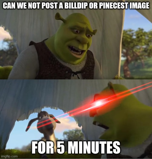 Shrek For Five Minutes | CAN WE NOT POST A BILLDIP OR PINECEST IMAGE; FOR 5 MINUTES | image tagged in shrek for five minutes | made w/ Imgflip meme maker