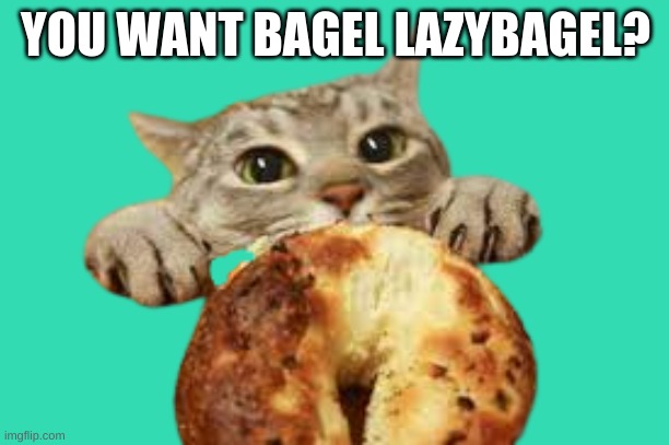 Cat want bagel | YOU WANT BAGEL LAZYBAGEL? | image tagged in cat want bagel | made w/ Imgflip meme maker