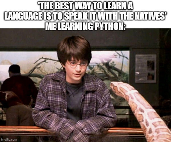 'THE BEST WAY TO LEARN A LANGUAGE IS TO SPEAK IT WITH THE NATIVES'
ME LEARNING PYTHON: | image tagged in snek | made w/ Imgflip meme maker