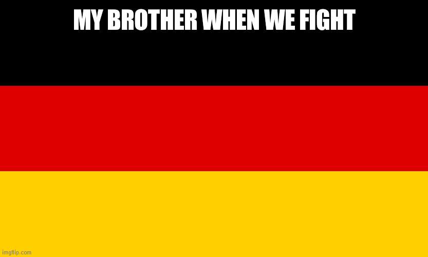 He never wins | MY BROTHER WHEN WE FIGHT | image tagged in germany,fights | made w/ Imgflip meme maker