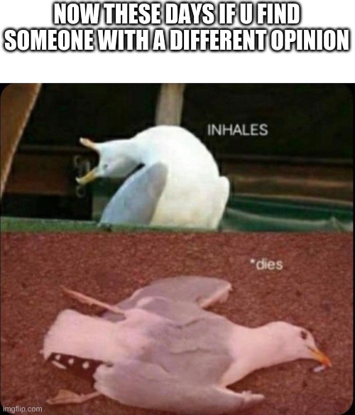 inhales dies bird | NOW THESE DAYS IF U FIND SOMEONE WITH A DIFFERENT OPINION | image tagged in inhales dies bird | made w/ Imgflip meme maker