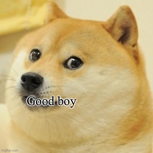 Doge Meme | Good boy | image tagged in memes,doge | made w/ Imgflip meme maker