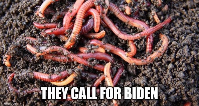 worms | THEY CALL FOR BIDEN | image tagged in worms | made w/ Imgflip meme maker