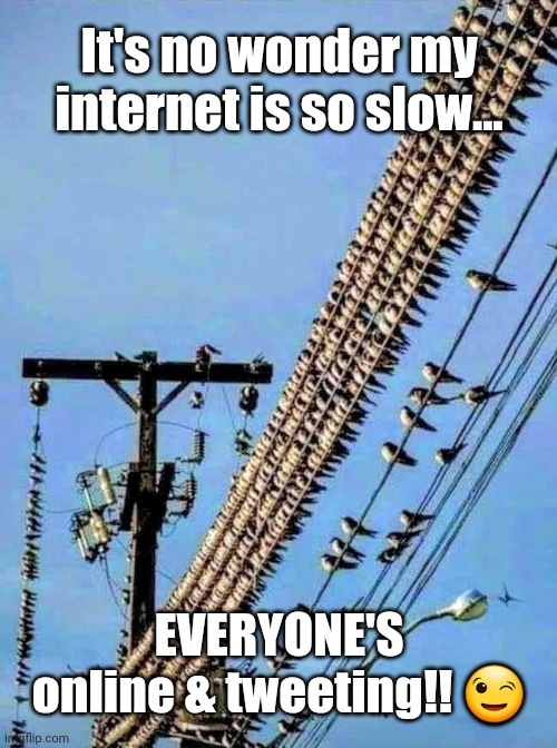 Online & Tweeting | It's no wonder my internet is so slow... EVERYONE'S online & tweeting!! 😉 | image tagged in tweets,online | made w/ Imgflip meme maker