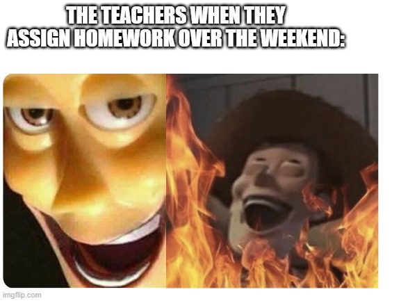 THE TEACHERS WHEN THEY ASSIGN HOMEWORK OVER THE WEEKEND: | image tagged in woody,homework | made w/ Imgflip meme maker