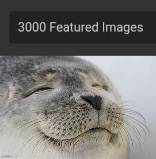 image tagged in memes,satisfied seal | made w/ Imgflip meme maker