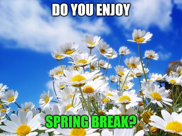 If u even have it... | DO YOU ENJOY; SPRING BREAK? | image tagged in spring daisy flowers,spring break,question | made w/ Imgflip meme maker