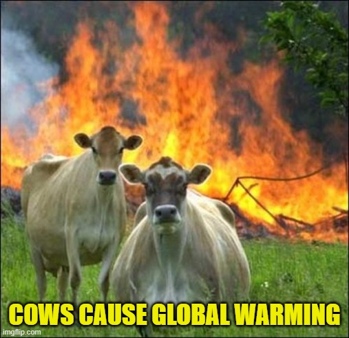 Evil Cows Meme | COWS CAUSE GLOBAL WARMING | image tagged in memes,evil cows | made w/ Imgflip meme maker