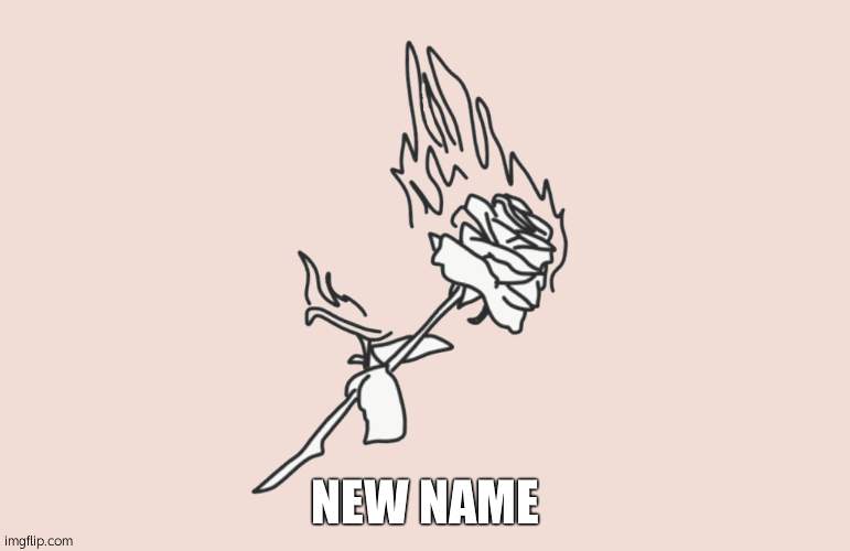 burning rose | NEW NAME | image tagged in burning rose | made w/ Imgflip meme maker