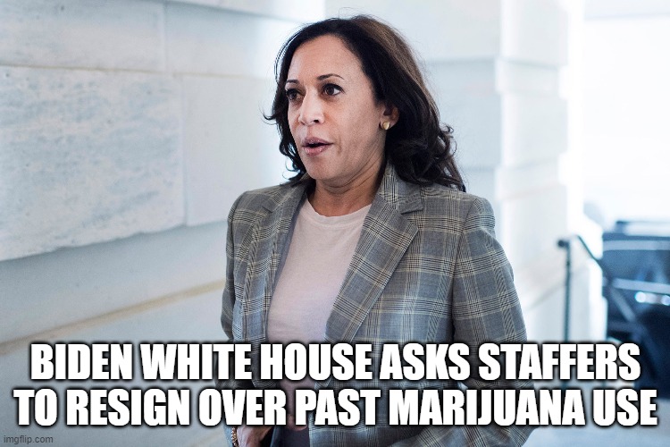 Biden White House asks staffers to resign over past marijuana use | BIDEN WHITE HOUSE ASKS STAFFERS TO RESIGN OVER PAST MARIJUANA USE | image tagged in kamala harris,marijuana | made w/ Imgflip meme maker