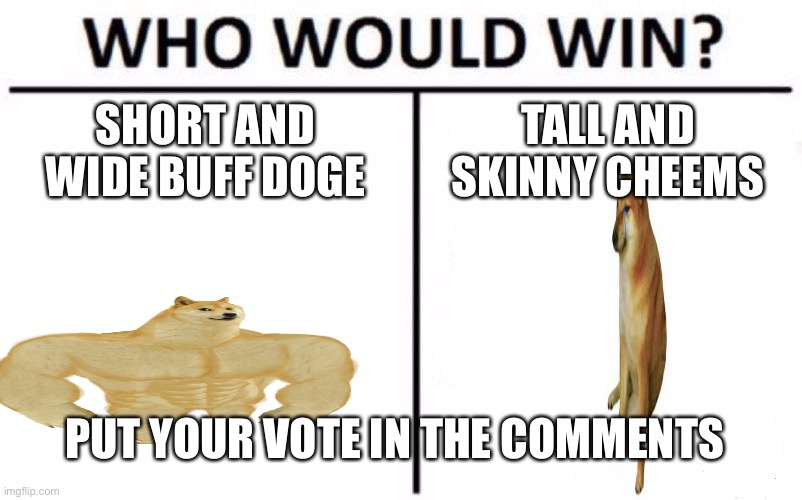 Who Would Win? Meme |  SHORT AND WIDE BUFF DOGE; TALL AND SKINNY CHEEMS; PUT YOUR VOTE IN THE COMMENTS | image tagged in memes,who would win | made w/ Imgflip meme maker