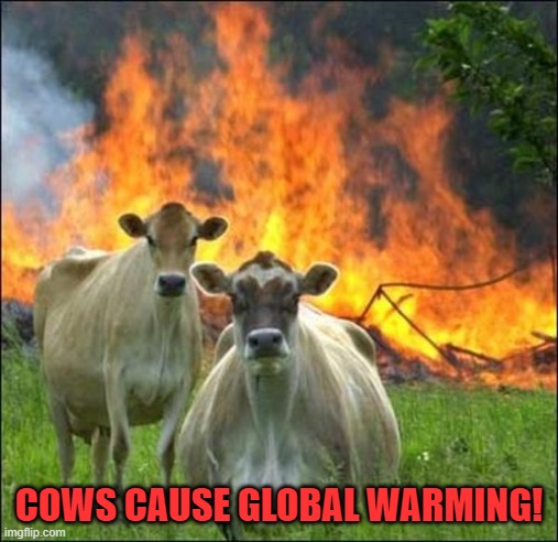 Evil Cows Meme | COWS CAUSE GLOBAL WARMING! | image tagged in memes,evil cows | made w/ Imgflip meme maker