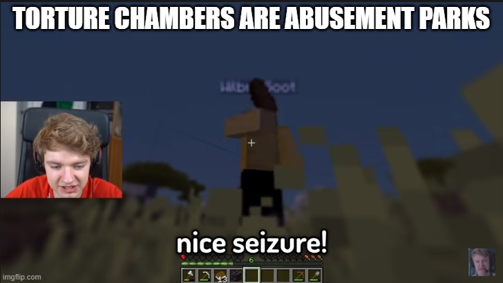 TORTURE CHAMBERS ARE ABUSEMENT PARKS | image tagged in nice seizure | made w/ Imgflip meme maker