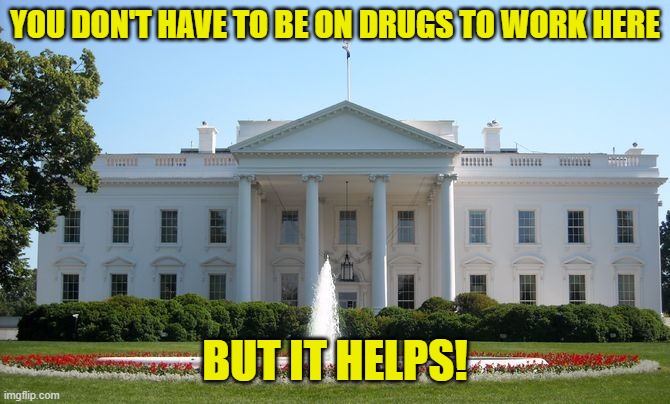 White House | YOU DON'T HAVE TO BE ON DRUGS TO WORK HERE BUT IT HELPS! | image tagged in white house | made w/ Imgflip meme maker