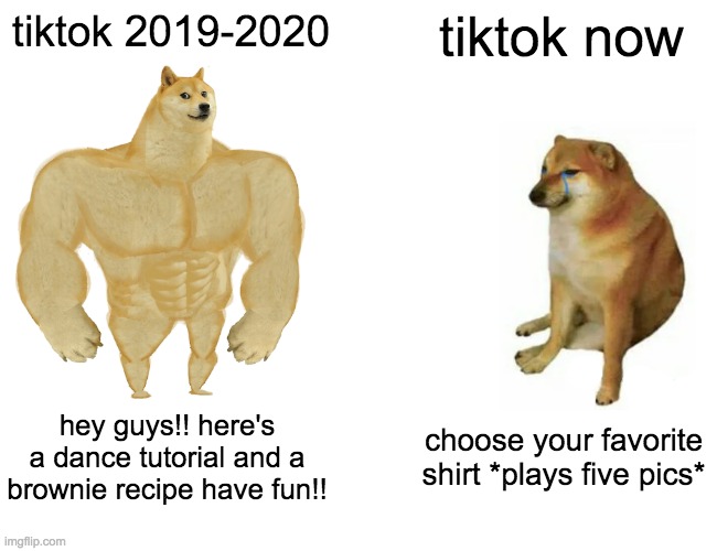 Buff Doge vs. Cheems Meme | tiktok 2019-2020; tiktok now; hey guys!! here's a dance tutorial and a brownie recipe have fun!! choose your favorite shirt *plays five pics* | image tagged in memes,buff doge vs cheems,tik tok,tiktok sucks,2020,cheems | made w/ Imgflip meme maker