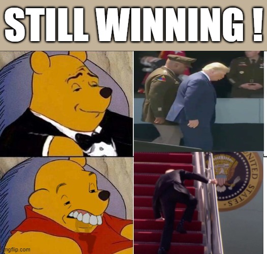 still winning! | STILL WINNING ! | image tagged in whinnie the pooh,trump,biden,election 2020 | made w/ Imgflip meme maker