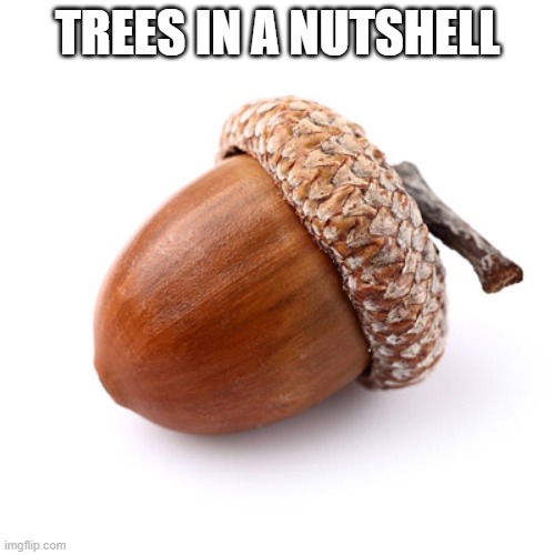 I'm not wrong | TREES IN A NUTSHELL | image tagged in acorn | made w/ Imgflip meme maker