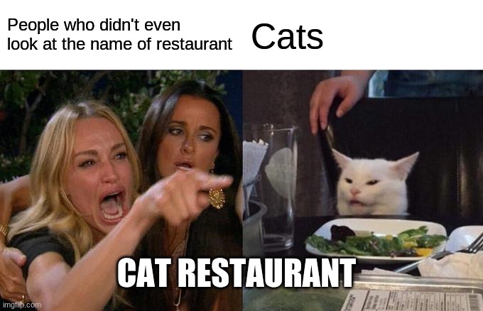 Cats | People who didn't even look at the name of restaurant; Cats; CAT RESTAURANT | image tagged in memes,woman yelling at cat | made w/ Imgflip meme maker