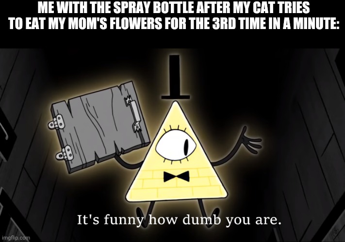 This actually happened :/ | ME WITH THE SPRAY BOTTLE AFTER MY CAT TRIES TO EAT MY MOM'S FLOWERS FOR THE 3RD TIME IN A MINUTE: | image tagged in it's funny how dumb you are bill cipher | made w/ Imgflip meme maker