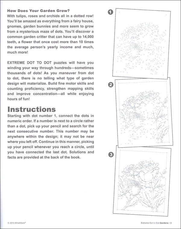 High Quality Dot to dot puzzle flower with solution Blank Meme Template