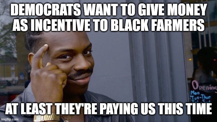 Roll Safe Think About It Meme | DEMOCRATS WANT TO GIVE MONEY AS INCENTIVE TO BLACK FARMERS; AT LEAST THEY'RE PAYING US THIS TIME | image tagged in memes,roll safe think about it | made w/ Imgflip meme maker