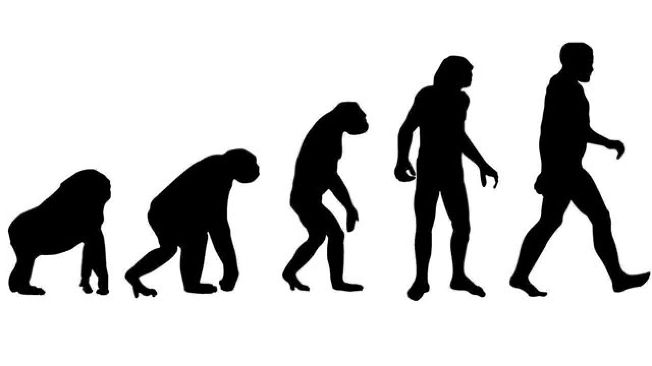 Darwin Evolution Blank Meme Template