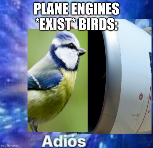 Adios | PLANE ENGINES *EXIST* BIRDS: | image tagged in adios | made w/ Imgflip meme maker