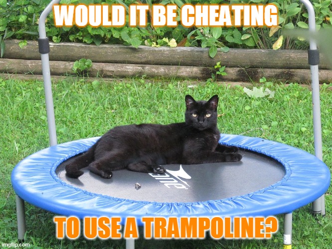 WOULD IT BE CHEATING TO USE A TRAMPOLINE? | made w/ Imgflip meme maker