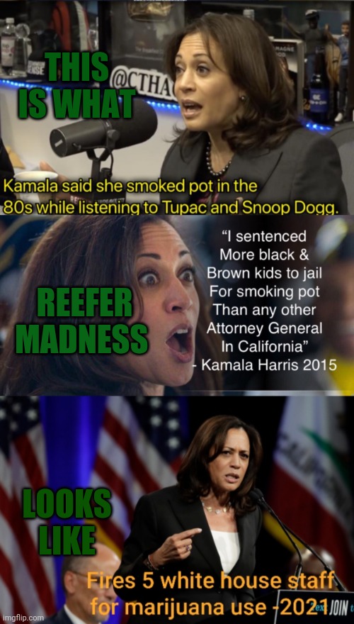 Weeds bad mmmmk kids | THIS IS WHAT; REEFER MADNESS; LOOKS LIKE | image tagged in weed,kamala harris,idiots | made w/ Imgflip meme maker