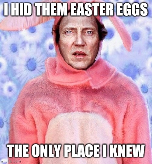 Easter Bunny Christopher Walken | I HID THEM EASTER EGGS; THE ONLY PLACE I KNEW | image tagged in christopher walken bunny | made w/ Imgflip meme maker