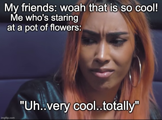 wow so cool | My friends: woah that is so cool! Me who's staring at a pot of flowers:; "Uh..very cool..totally" | image tagged in uh ok | made w/ Imgflip meme maker