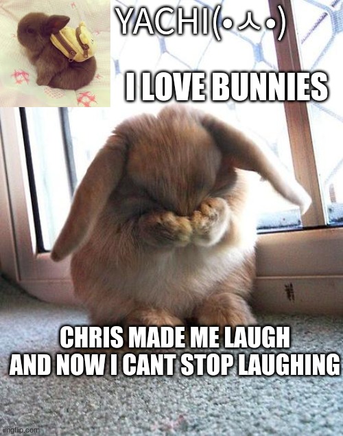 Yachi's bunny temp | CHRIS MADE ME LAUGH AND NOW I CANT STOP LAUGHING | image tagged in yachi's bunny temp | made w/ Imgflip meme maker