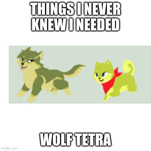 WOLF TETRAAAA | THINGS I NEVER KNEW I NEEDED; WOLF TETRA | image tagged in memes,legend of zelda | made w/ Imgflip meme maker