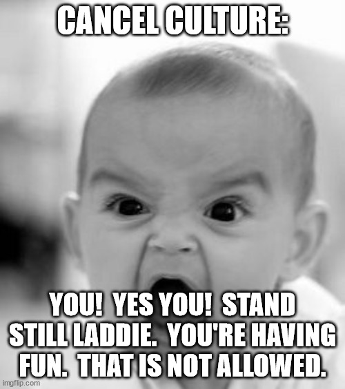 Fun must be exterminated.  You are only allowed to be miserable. | CANCEL CULTURE:; YOU!  YES YOU!  STAND STILL LADDIE.  YOU'RE HAVING FUN.  THAT IS NOT ALLOWED. | image tagged in angry baby,cancel culture,anti-fun | made w/ Imgflip meme maker