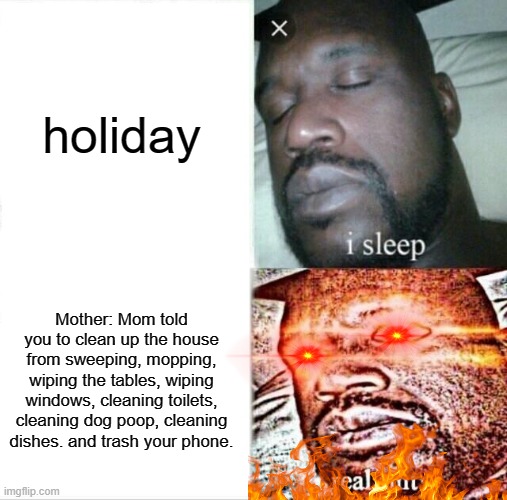 REAL SHIT | holiday; Mother: Mom told you to clean up the house from sweeping, mopping, wiping the tables, wiping windows, cleaning toilets, cleaning dog poop, cleaning dishes. and trash your phone. | image tagged in memes,sleeping shaq | made w/ Imgflip meme maker