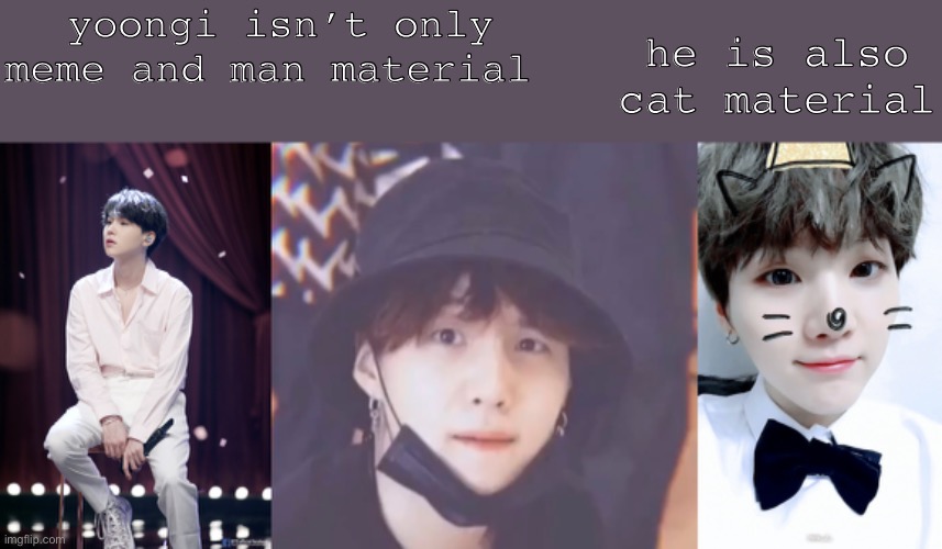 yoongi | yoongi isn’t only meme and man material; he is also cat material | image tagged in bts | made w/ Imgflip meme maker