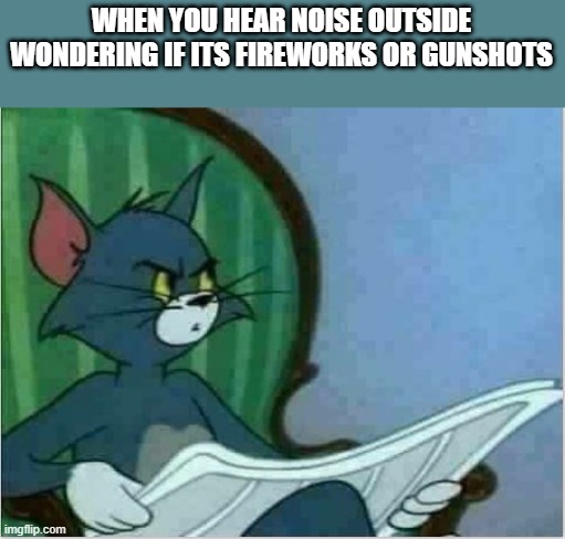 I don't know what it is | WHEN YOU HEAR NOISE OUTSIDE WONDERING IF ITS FIREWORKS OR GUNSHOTS | image tagged in interrupting tom's read | made w/ Imgflip meme maker