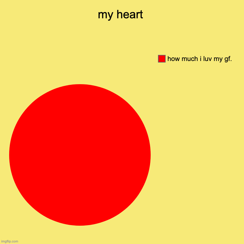 my heart | how much i luv my gf. | image tagged in charts,pie charts | made w/ Imgflip chart maker