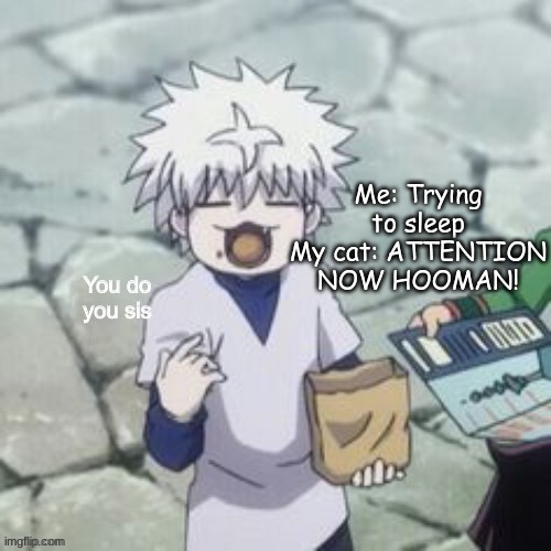 Bitch really said: P a r k o u r | Me: Trying to sleep
My cat: ATTENTION NOW HOOMAN! | image tagged in killua | made w/ Imgflip meme maker