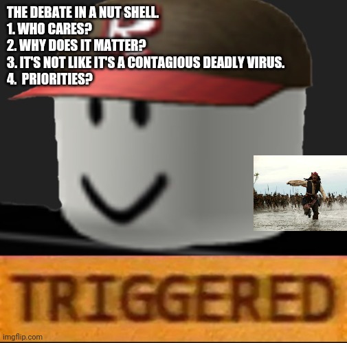 Roblox Triggered | THE DEBATE IN A NUT SHELL.
1. WHO CARES?
2. WHY DOES IT MATTER?
3. IT'S NOT LIKE IT'S A CONTAGIOUS DEADLY VIRUS.
4.  PRIORITIES? | image tagged in roblox triggered | made w/ Imgflip meme maker