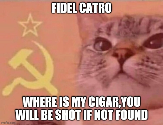 Communist cat | FIDEL CATRO; WHERE IS MY CIGAR,YOU WILL BE SHOT IF NOT FOUND | image tagged in communist cat | made w/ Imgflip meme maker