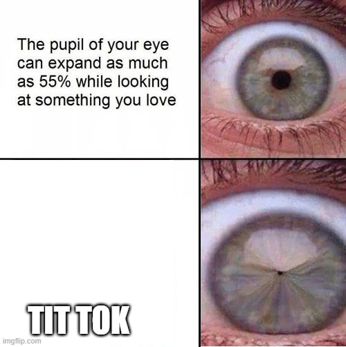 Eye Pupil (Shrinking) Template | TIT TOK | image tagged in eye pupil shrinking template | made w/ Imgflip meme maker