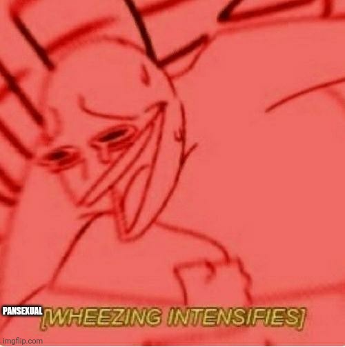 Wheeze | PANSEXUAL | image tagged in wheeze | made w/ Imgflip meme maker