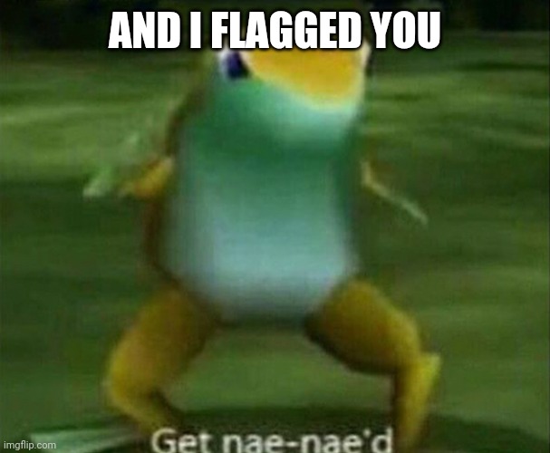Get nae-nae'd | AND I FLAGGED YOU | image tagged in get nae-nae'd | made w/ Imgflip meme maker
