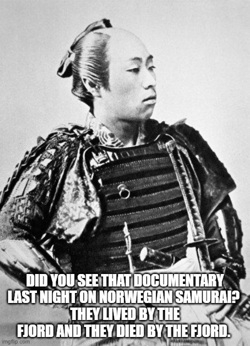 samurai | DID YOU SEE THAT DOCUMENTARY LAST NIGHT ON NORWEGIAN SAMURAI? 
THEY LIVED BY THE FJORD AND THEY DIED BY THE FJORD. | image tagged in samurai | made w/ Imgflip meme maker