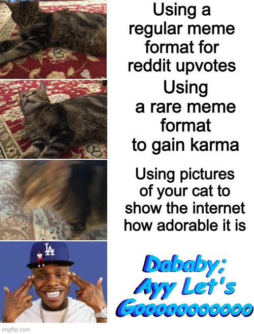 Blank White Template | Using a regular meme format for reddit upvotes; Using a rare meme format to gain karma; Using pictures of your cat to show the internet how adorable it is; Dababy; Ayy Let's Gooooooooooo; Dababy; Ayy Let's Gooooooooooo; Dababy; Ayy Let's Gooooooooooo | image tagged in blank white template | made w/ Imgflip meme maker