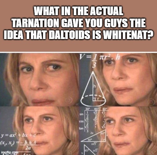 I'm not sure whether to be confused or concerned | WHAT IN THE ACTUAL TARNATION GAVE YOU GUYS THE IDEA THAT DALTOIDS IS WHITENAT? | image tagged in math lady/confused lady | made w/ Imgflip meme maker