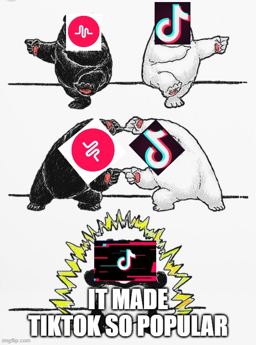 Tiktok is the worst! | IT MADE TIKTOK SO POPULAR | image tagged in panda fusion,music,tiktok,tiktok sucks | made w/ Imgflip meme maker
