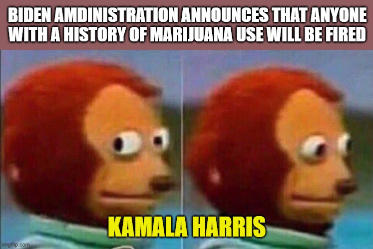 Monkey looking away | BIDEN AMDINISTRATION ANNOUNCES THAT ANYONE WITH A HISTORY OF MARIJUANA USE WILL BE FIRED; KAMALA HARRIS | image tagged in monkey looking away | made w/ Imgflip meme maker